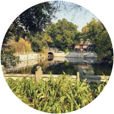放置黑帮帝国游戏(Idle Mafia Empire)下载